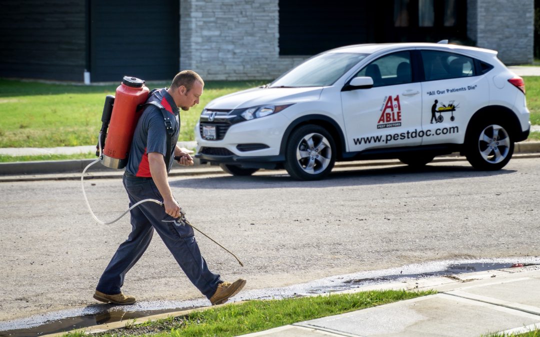 Stink Bug Prevention Services